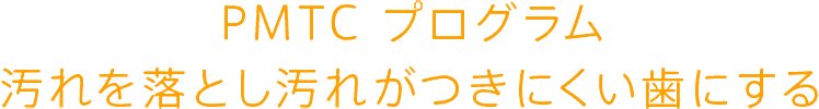 PMTCプログラム 汚れを落とし汚れがつきにくい歯にする